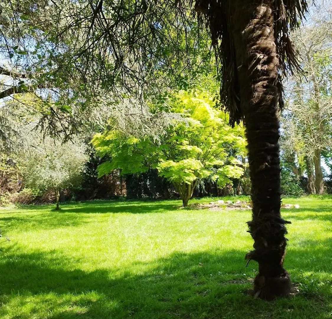 La Suite D'Anna Rohan Maison d'hôtes