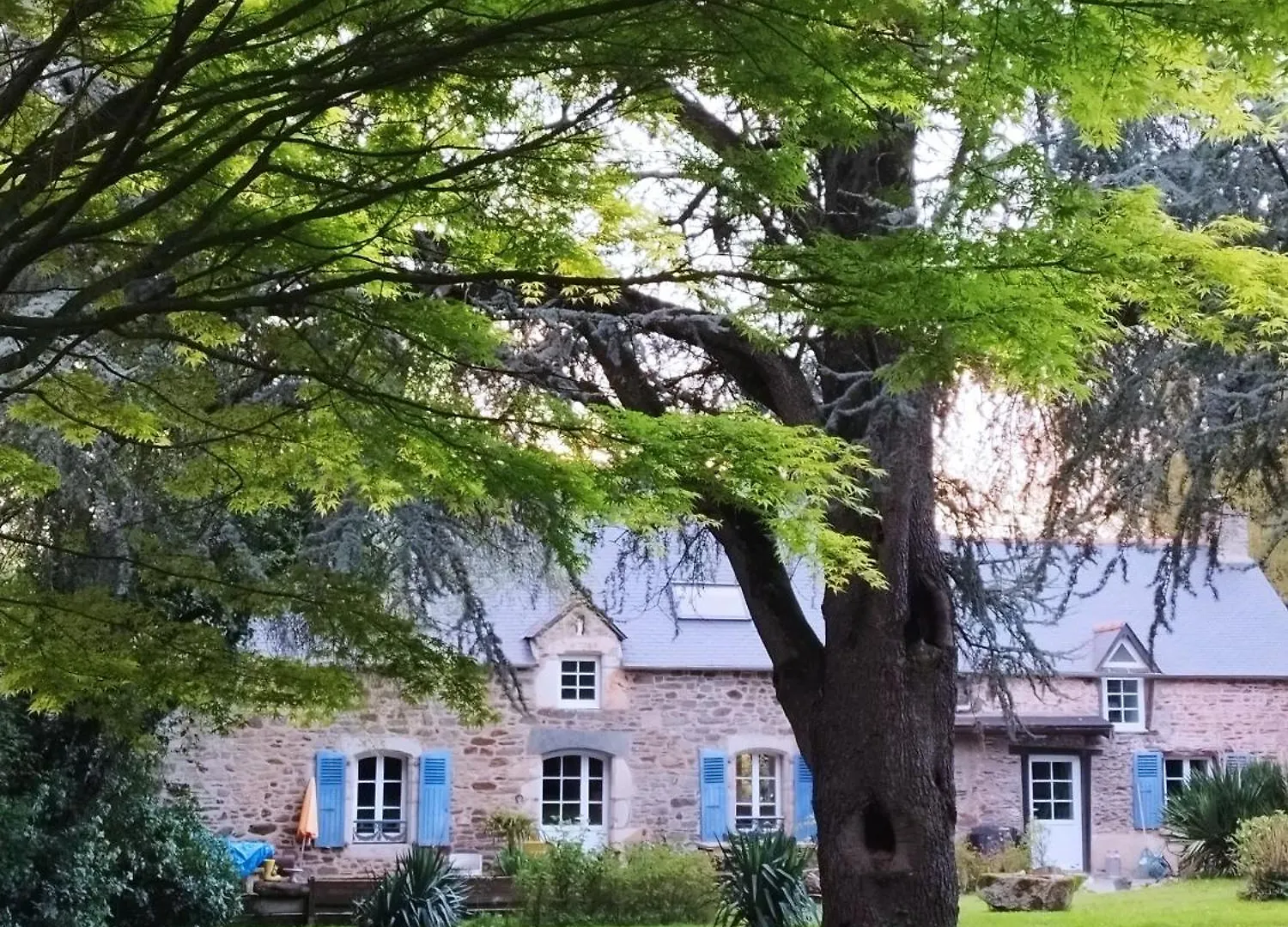 La Suite D'Anna Rohan Maison d'hôtes
